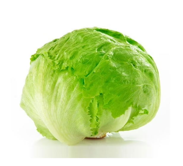 LECHUGA ESCAROLA (UNIDAD)