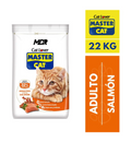 MASTER CAT SALMON 22 KG