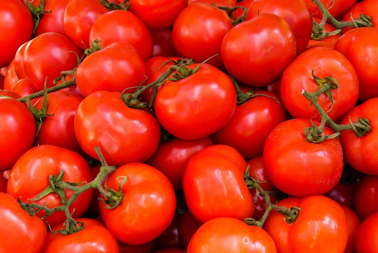TOMATE (KG)